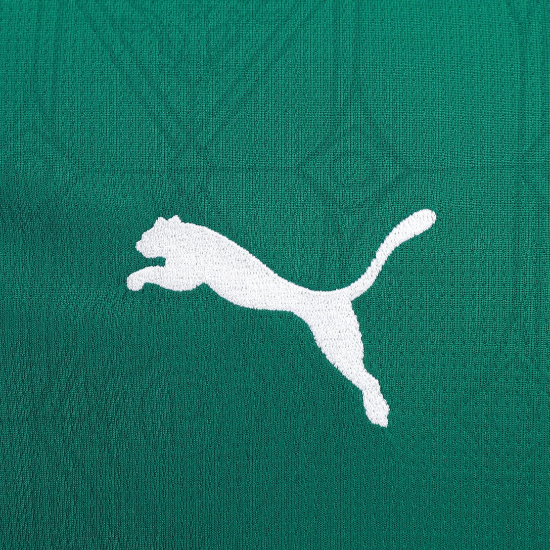 Palmeiras Home Shirt 23/24 - Men's Fan - Green