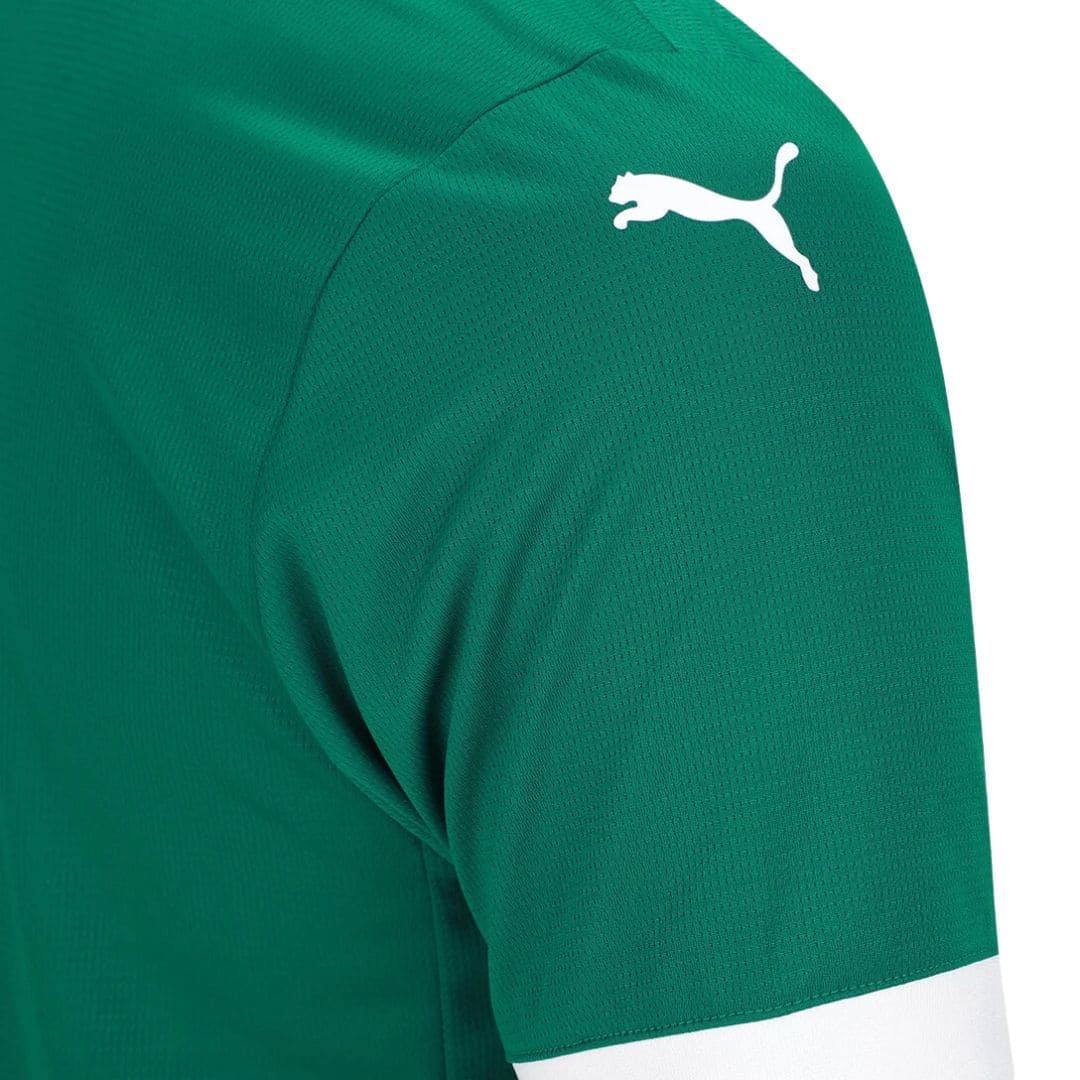 Camisa Palmeiras I 25/26 - Torcedor Masculina - Verde