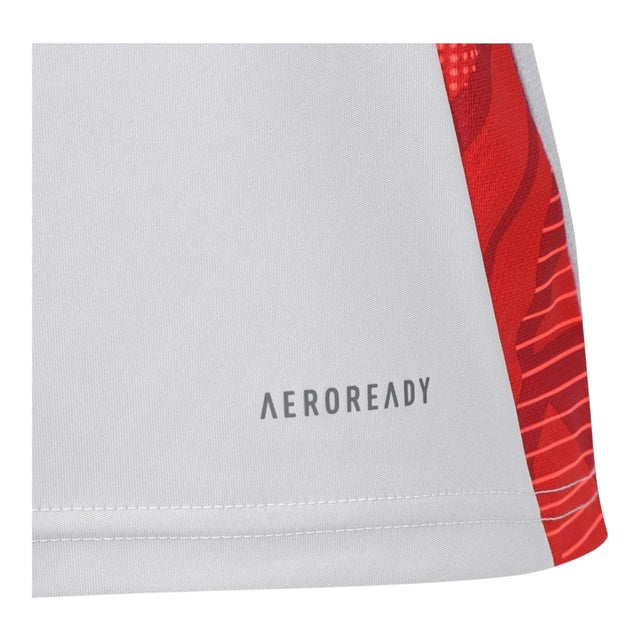 Camisa de Treino Internacional 25/26 - Torcedor Masculina - Branco