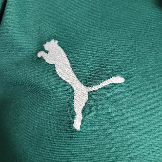 Camisa Polo Palmeiras 23/24 - Torcedor Masculina - Verde - Manto Elegante